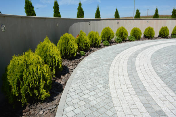 Reasons to Select Us for Your Driveway Paving Requirements in Walnut Creek, CA